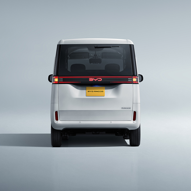 BYD-RACCO-v3-800x800