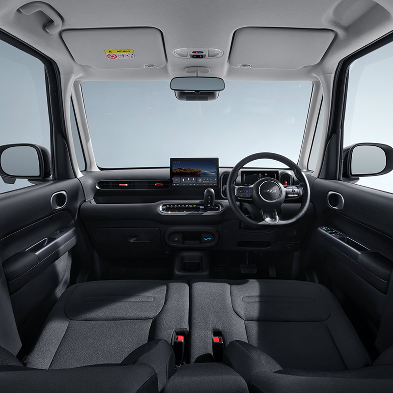 BYD-RACCO-v5-800x800